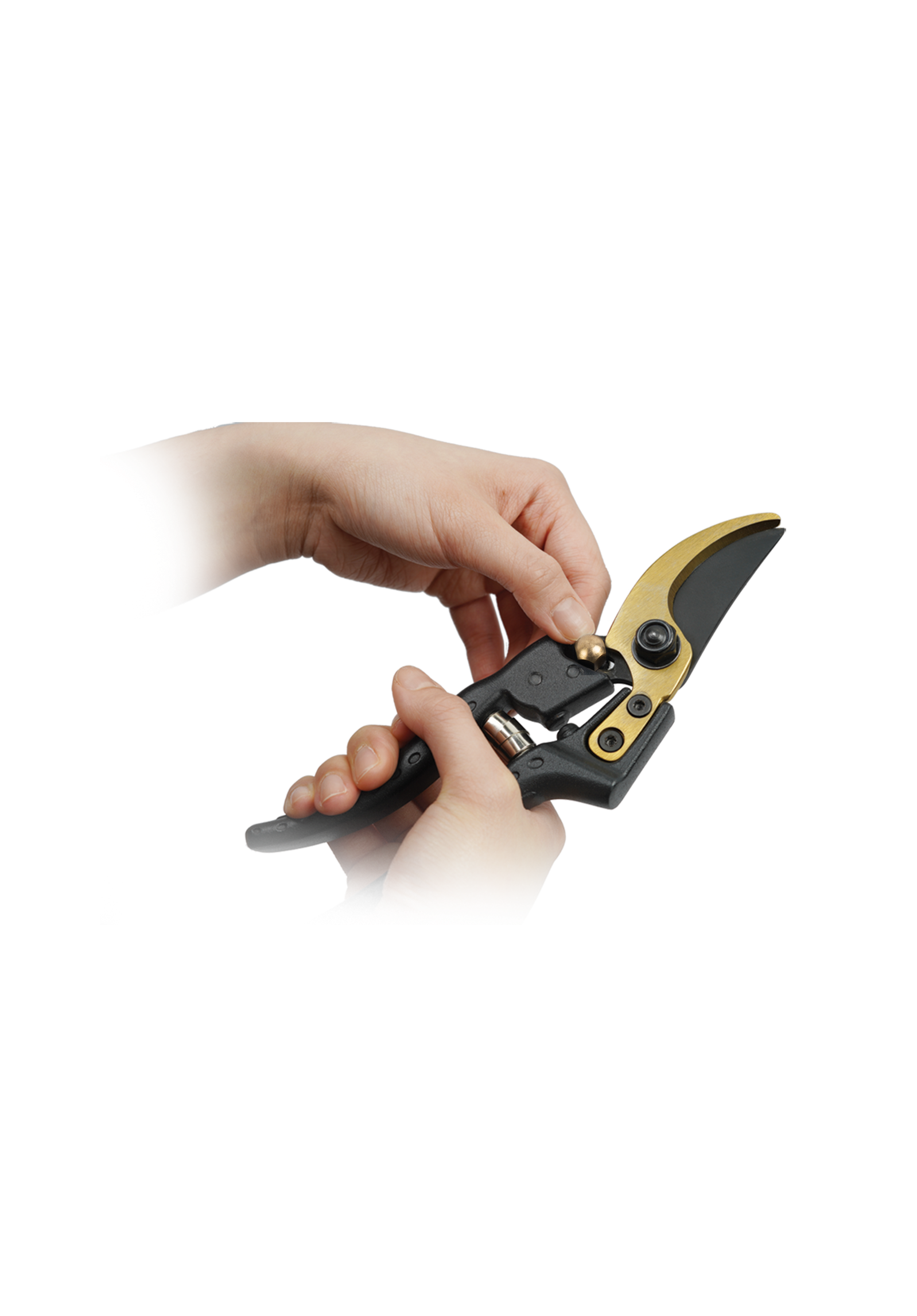 BP Pruning Shears